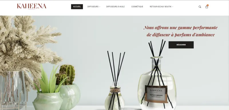 Capture d'écran du site Kaheena